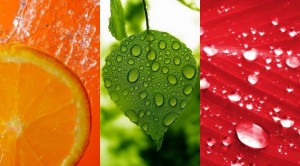 Fresh Samsung Star S5230 Wallpapers 240X400