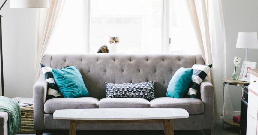 Here’s Why Techies Prefer Shopping Online For Furniture Here’s Why Techies Prefer Shopping Online For Furniture