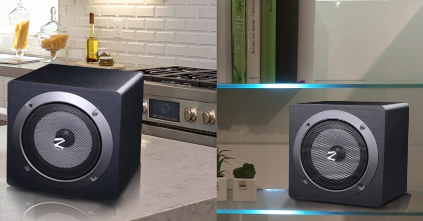 Zebronics bookshelf speakers Outlet