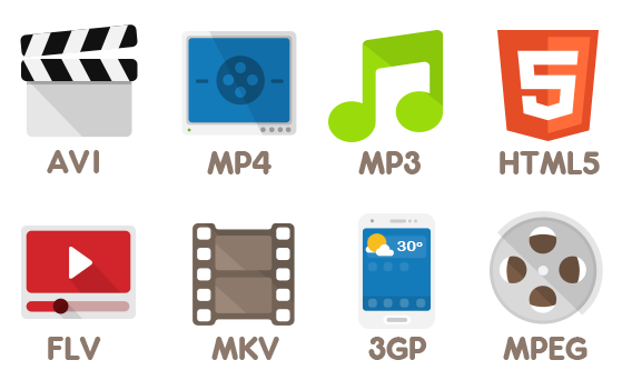 video formats