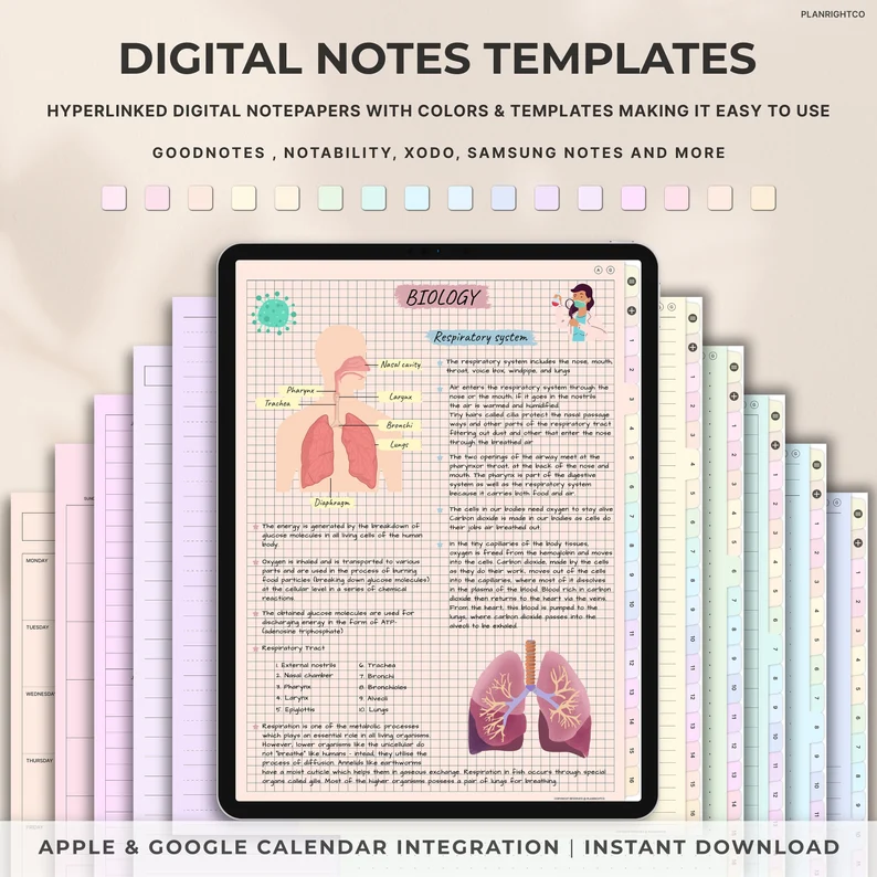 business plan template notability